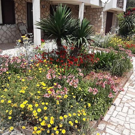 Apartmani Ana Cres Exterior foto